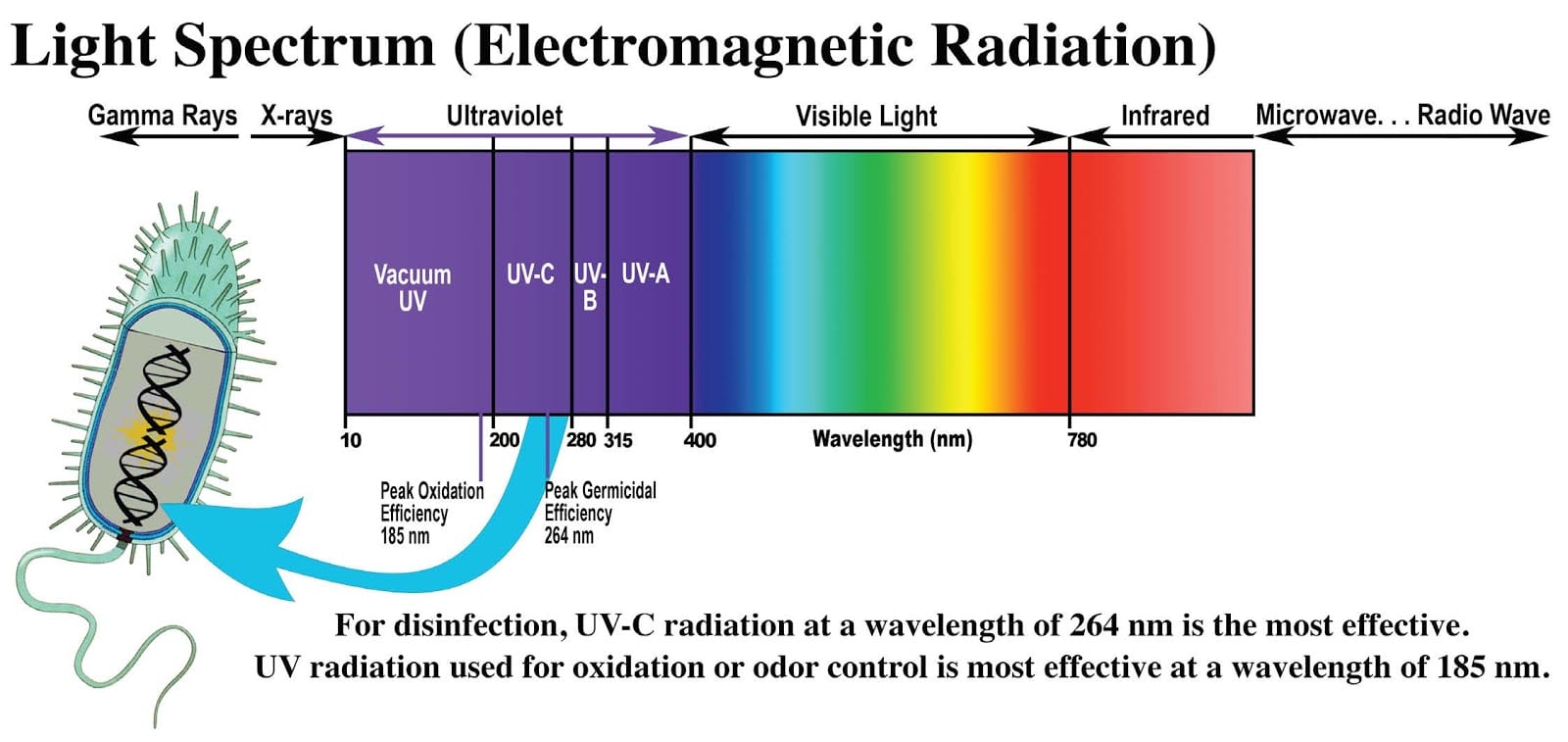 UV.C Spectrum